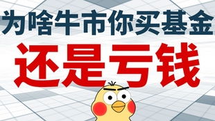 如何不在牛市亏钱买股票