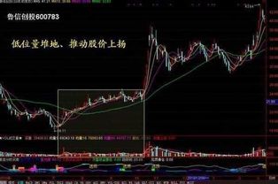 老股民如何看待股票行情