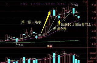老股民如何看待股票行情