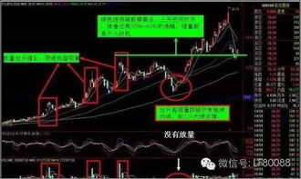 如何看待庄家介入股票 如何看待庄家介入股票