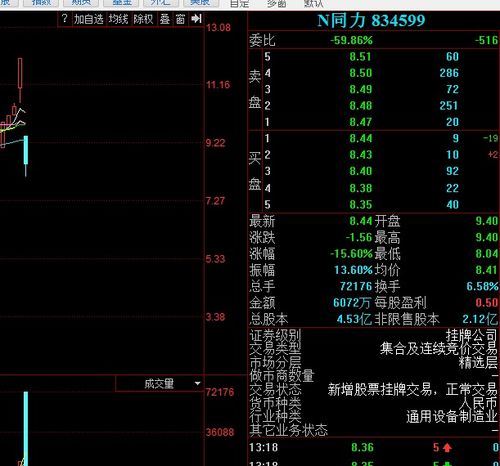 新公司如何分配股票资金 新公司如何分配股票资金