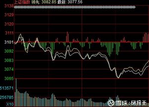 新公司如何分配股票资金 新公司如何分配股票资金