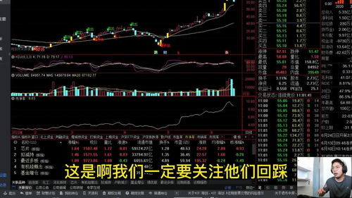 新手如何挑选股票