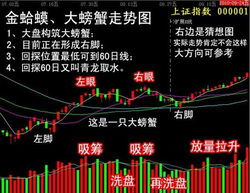 安信证券怎么把字变大