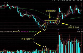 如何用股票抓板块股票赚钱 如何用股票抓板块股票赚钱