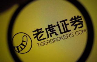 老虎证券怎么美金