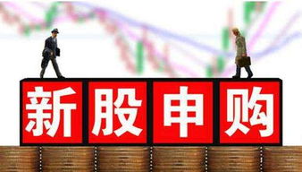 股票如何申购