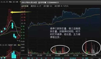 散户如何逃离股票