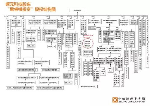 如何认定国有股票