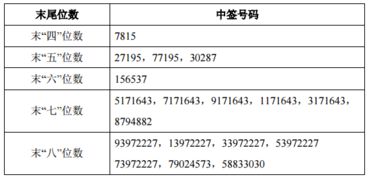 如何查股票中签号