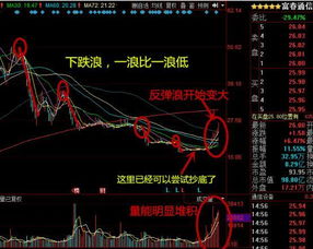 如何知道我有多少支股票