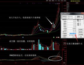 如何知道我有多少支股票