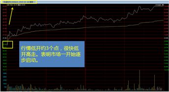 如何知道股票开盘
