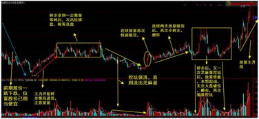 股票如何建仓 股票如何建仓