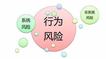新股民如何防止股票风险