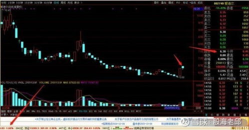 一只股票如何加仓控盘 一只股票如何加仓控盘