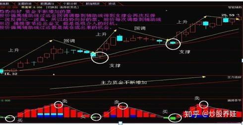 散户如何选好股票