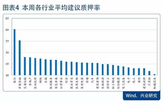 如何股票质押率 如何股票质押率