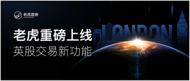 证券实时票数怎么看 证券实时票数怎么看
