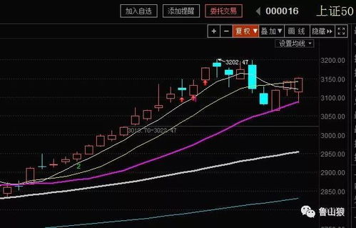 如何设置股票类型