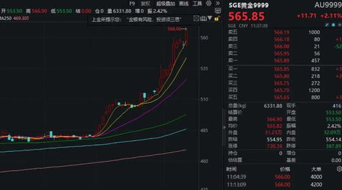 如何交易上海黄金股票