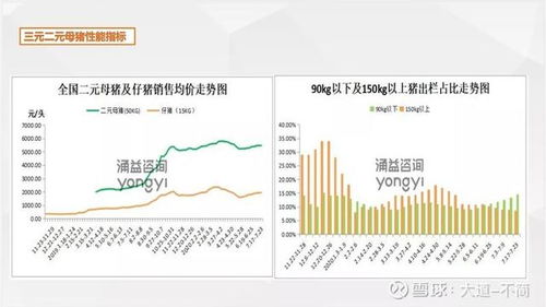 如何看一只股票的持久性