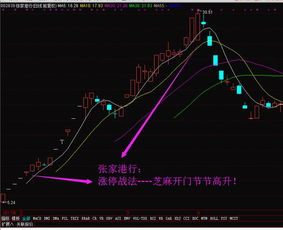 如何选股抓涨停板股票