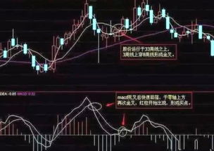 股票如何捉妖股