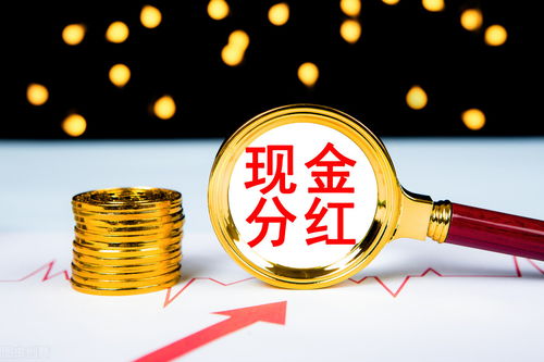 如何投资养老所股票