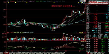 涨停回调如何买入股票 涨停回调如何买入股票