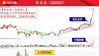 江苏天鼎证券怎么赚钱