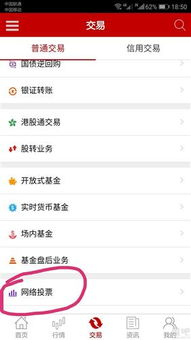 证券怎么网络投票
