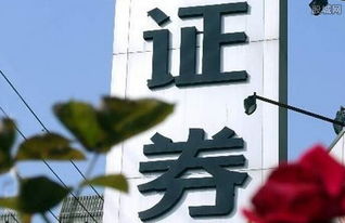 证券公司 怎么处理 证券公司 怎么处理