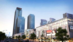 阳光国际证券怎么样