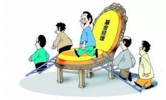 股票基金经理如何投资