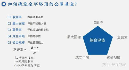 股票如何选购基金