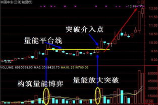 已成交股票如何查看收益