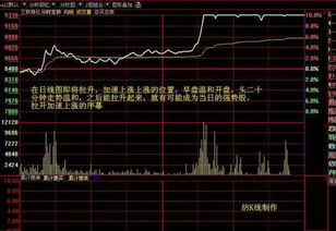 如何找寻股票账号