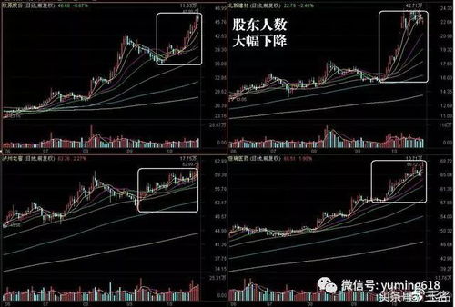 股票如何看实时股东数量