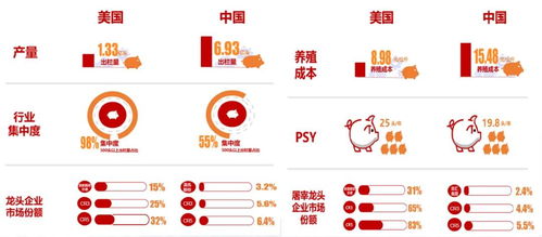 长江证券怎么查看基金
