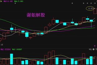 证券散户怎么布局