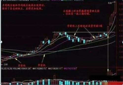 股票如何建立高效盈利