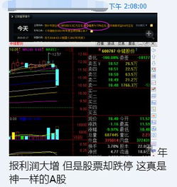 明星如何调侃股票跌停
