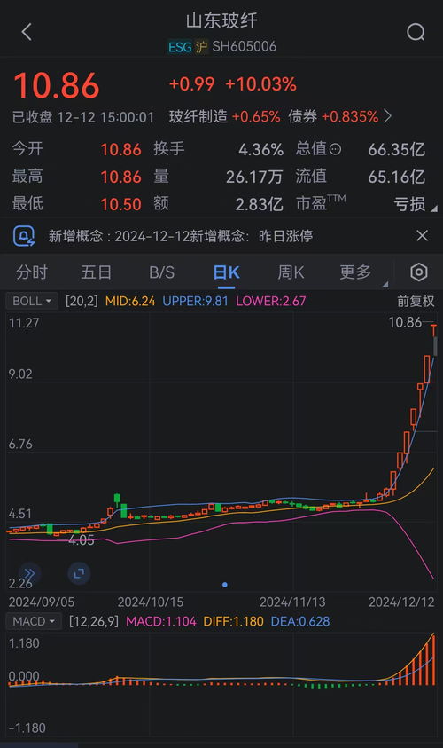 山东纤维股票如何 山东纤维股票如何