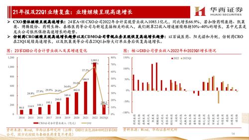 华西证券崔文亮怎么样