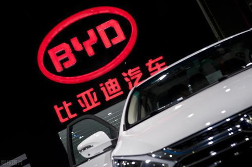 8元买的比亚迪股票如何