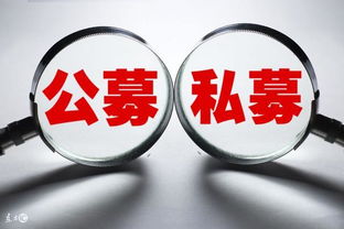 如何选股票风险大