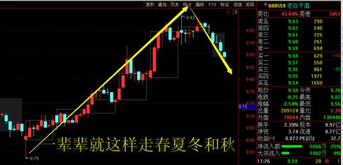 初涉股票如何操作