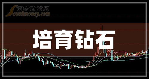 如何培养龙头股票