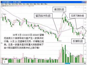 如何看懂股票每日大盘股